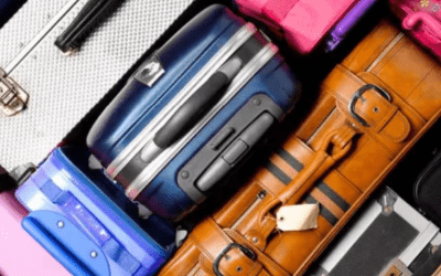 Wheels Up: Soft vs Hard Sided, 2 Wheels vs 4 Wheels