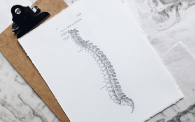 Adjust Your Mindset: How Chiropractic Care Can Boost Your Overall Wellness