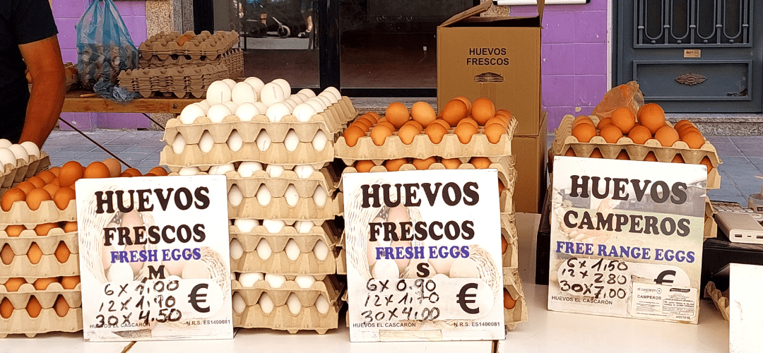 Eggs-ceptional Facts: The Truth About Egg Colors and Why Europeans Don’t Refrigerate
